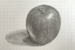 apple01